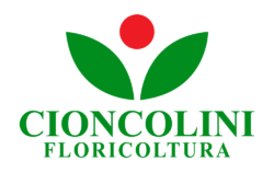 Cioncolini Floricoltura